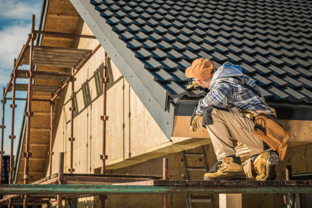 Best Roof Ventilation Installation  in Waterloo, NE