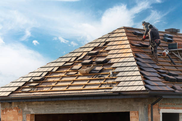 Best Gutter Replacement  in Waterloo, NE